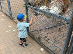 -长白岛森林公园