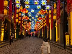 -朝花夕拾中餐厅(台儿庄古城复兴广场店)