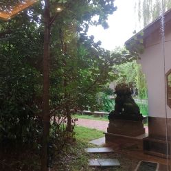点击看大图 窗外风景-莲生母婴月子中心(清水河公园店)