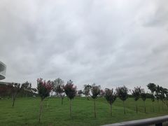 -郑东新区龙湖公共艺术中心