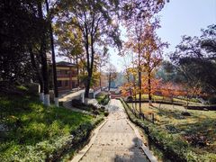 -岳麓山风景名胜区