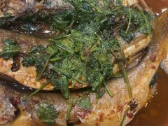 -山芋腔苏北菜(盐城滨海店)
