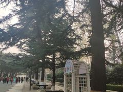-贮水山儿童公园