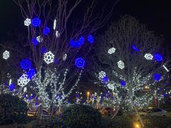 -新食谱全日制餐厅·苏州苏州湾艾美酒店