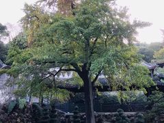 -惠山古镇·寄畅园