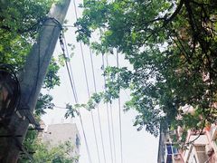 -建辉湖南土菜馆(南大街店)