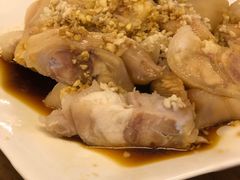 -百利鸽王(紫薇路店)