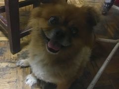 -阿姨小肉摊(同济西苑店)