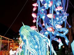 -海合安武汉极地海洋公园