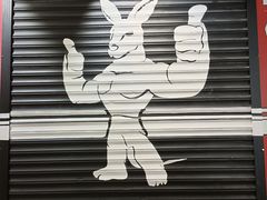 -Stone Motion Fitness 释动健身