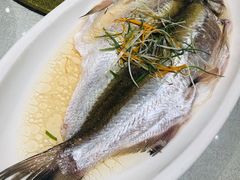 -天福苑(崇宁路店)