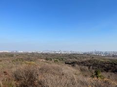 -南京老山国家森林公园