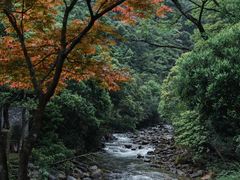 -姑婆山旅游区