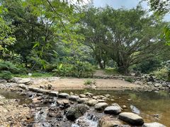 -广州市石门国家森林公园