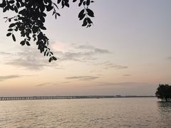 -宝安西湾红树林湿地公园