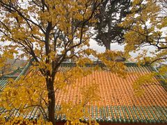 -圣莲山风景区