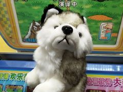 -天虹购物中心(石路店)