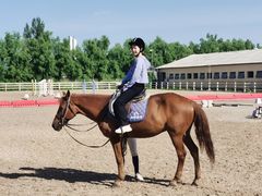 -北京群众马术培训基地