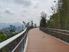 -板樟山森林公园