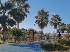 -海堤纪念公园
