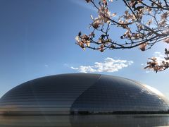 -国家大剧院