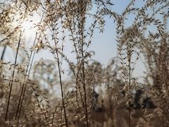 -两河城市森林公园