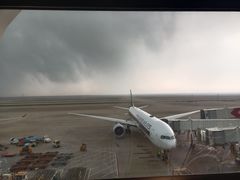 -上海浦东国际机场-T2航站楼