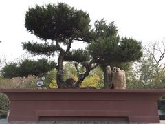 -泰州凤城河风景区-泰山公园