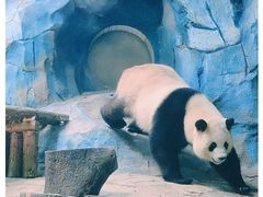 -乐和乐都主题乐园