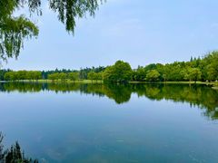 -上海共青森林公园