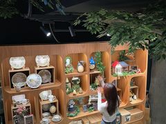 -美罗城