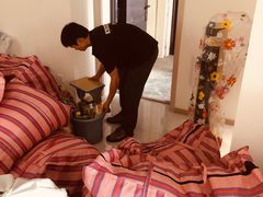 -蚂蚁搬家成都打包搬运公司