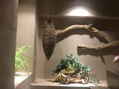 -耳艺采耳·足疗·按摩SPA(东圃店)