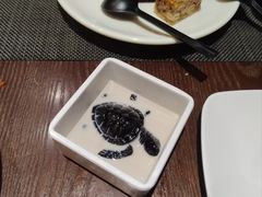 -清远熹乐谷温泉度假酒店