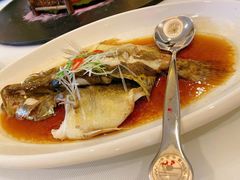 -金石国际大酒店·金丽自助餐厅