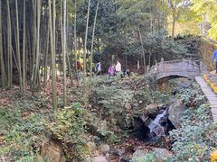 -莫干山风景区