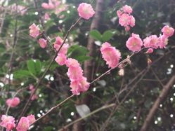 点击看大图 -莲生母婴月子中心(清水河公园店)