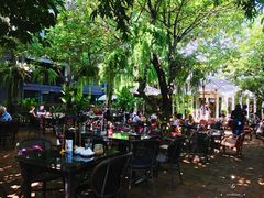 -Fern Forest Cafe