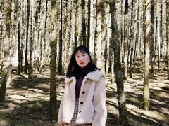 -石棉县孟获城