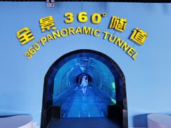 -西安曲江海洋极地公园