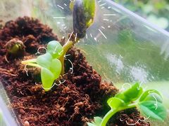 -悦藤爱托育早教中心(华凌公馆店)