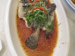 -明香海鲜酒家(华强北店)