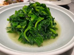 鸡油豆苗-蘭心·臻品(瑞虹太阳宫店)