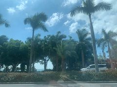 -黄金海岸环岛路