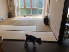 -仰生如卉推拿养生馆(酒仙桥店)