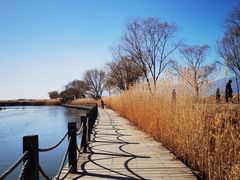 -野鸭湖国家湿地公园