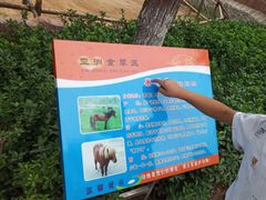 -石家庄市动物园