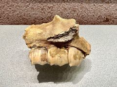 -河东池盐文化博览园