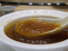 紅燒翅-大林苑世家精细潮州菜