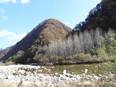 -黑河国家森林公园